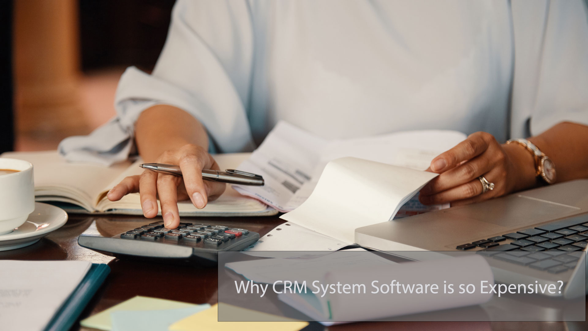 Why CRM System Why CRM Software is so Expensive?